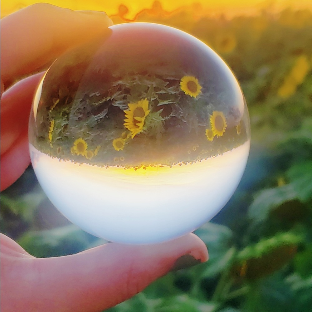 Meet your Posher, Desiray